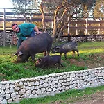 Herdade Da Hera Farma *