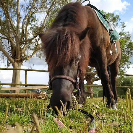 Bauernhof Herdade Da Hera Azambuja
