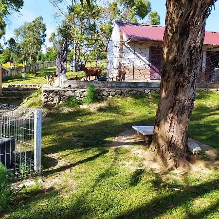Herdade Da Hera Farm stay