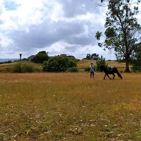 Farm stay Herdade Da Hera