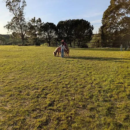 Herdade Da Hera Farm stay *