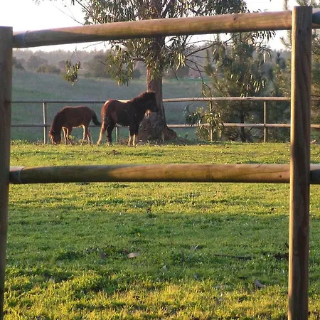 Herdade Da Hera Azambuja