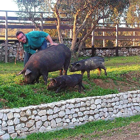 Herdade Da Hera בית חווה *