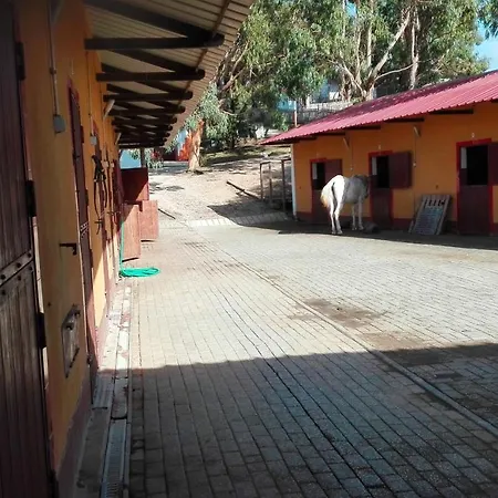 Herdade Da Hera