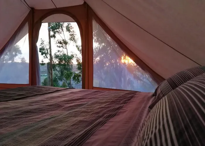 Herdade Da Hera * Azambuja