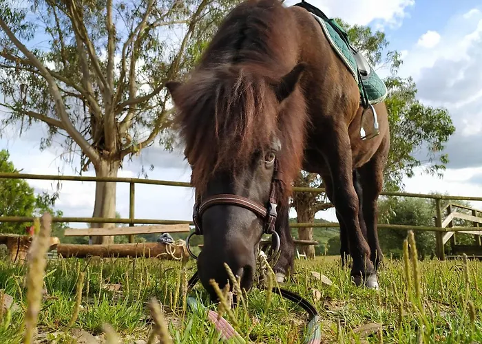 Farma Herdade Da Hera Azambuja