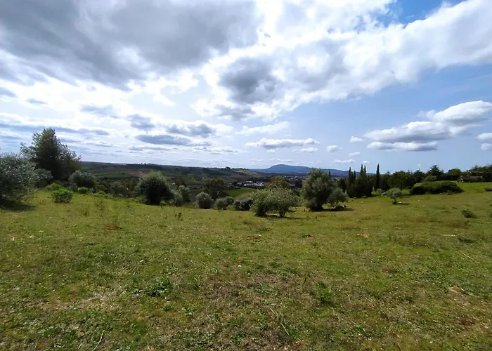 Herdade Da Hera Farma Azambuja