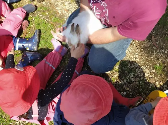 Farma Herdade Da Hera