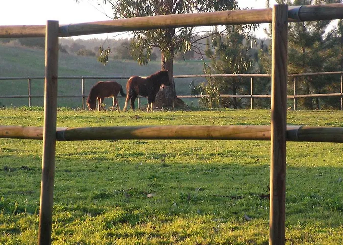 Herdade Da Hera Azambuja