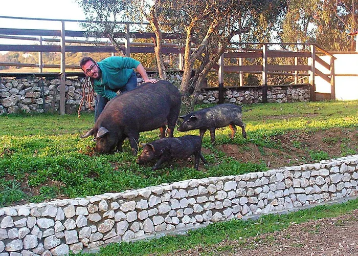 Herdade Da Hera Farma *